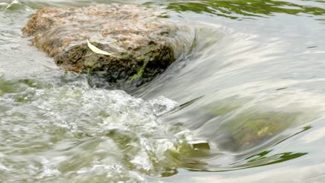 fast flowing river with stones in the water 4k