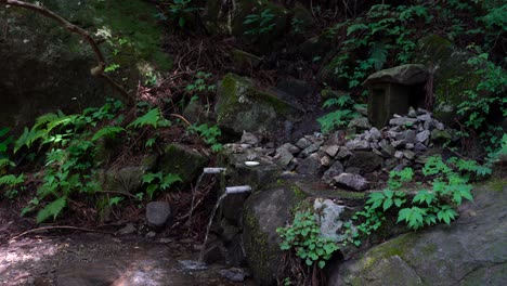 agua dulce que fluye del manantial de montaña en japón