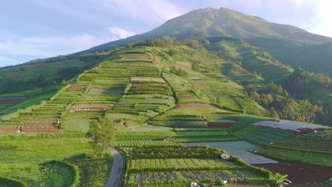 Wunderschöne-Ländliche-Landschaft-Mit-Landwirtschaftlichen-Feldern-Am-Hang-Eines-Tropischen-Berges