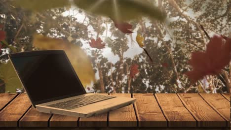 Laptop and falling autumn leaves 4k