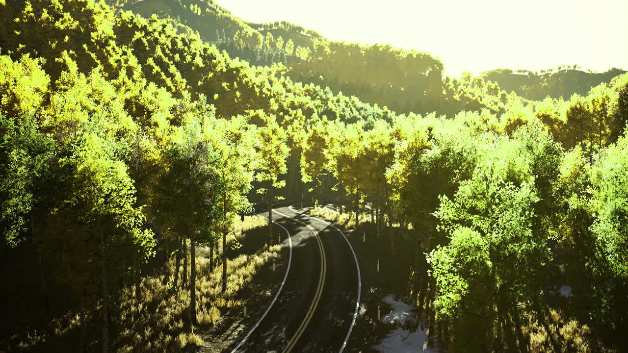 Beautiful winding railway track through vibrant green forest in sunlight