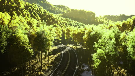 beautiful winding railway track through vibrant green forest in sunlight