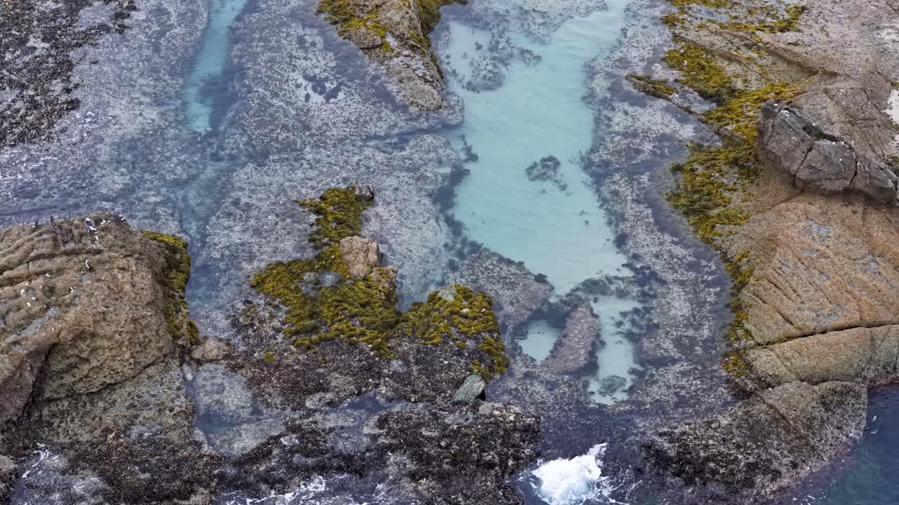 Aerial view of tide pools and rocky shoreline at low tide along the California coast, revealing marine algae and clear water channels between the stones
