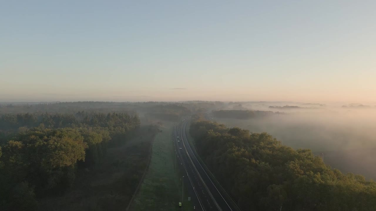 해가 뜨면 안개 숲을 가로질러 가는 고속도로