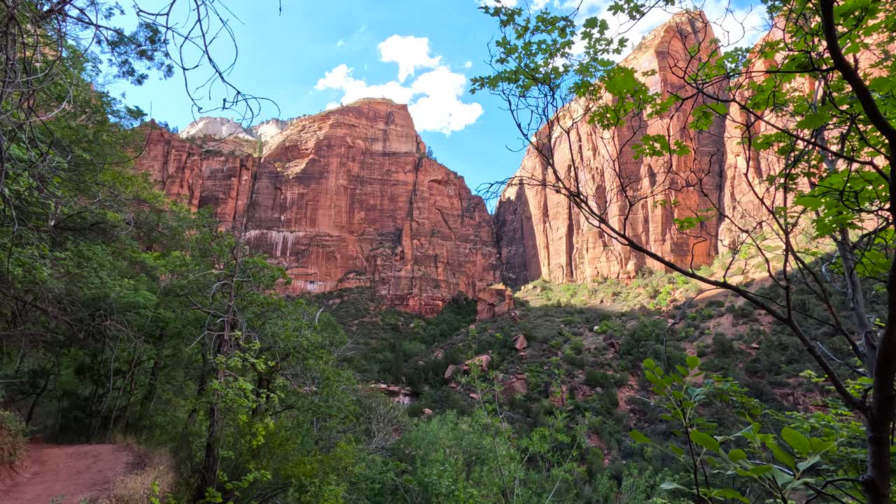 은 여름날 나무와 산