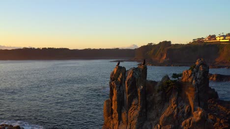 Pájaros-Cormoranes-Posados-En-Imponentes-Formaciones-Rocosas-De-Basalto-De-Las-Rocas-De-La-Catedral-Con-El-Paisaje-Urbano-Como-Telón-De-Fondo-En-Nueva-Gales-Del-Sur,-Australia