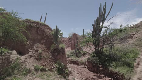 retroceso en terreno seco del desierto y pilares del desierto de la tatacoa en colombia