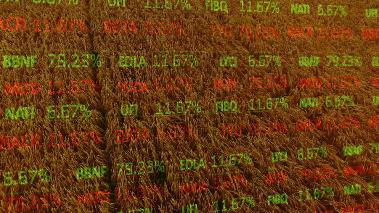 Animation der Finanzdatenverarbeitung über einem Agrarfeld