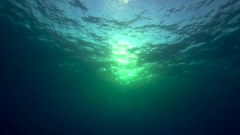 rolling waves and water surface shot from underwater agains the light in a tropical ocean environment