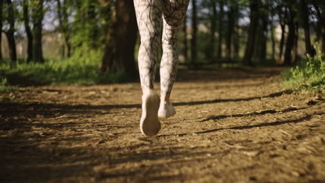 running on a forest trail
