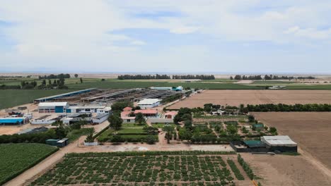 aerial shot of a sunny day in the countryside