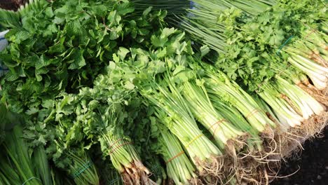 varias verduras expuestas para la venta al aire libre