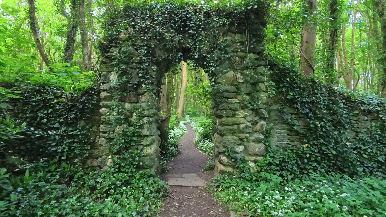 Incantevole sentiero boschivo di aglio selvatico, ripresa in allontanamento attraverso l'ingresso ad arco in pietra di antiche rovine.