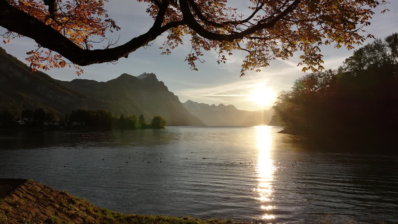 Sunset over Walensee, Switzerland, with tree framing the view of the lake and mountains