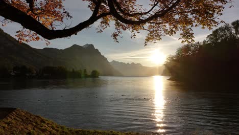 sunset over walensee, switzerland, with tree framing the view of the lake and mountains