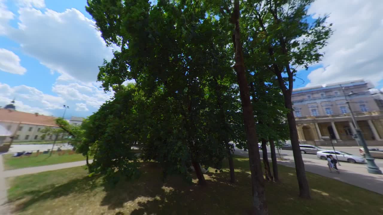 Sunny Urban Parks and Tree-Lined Pathways