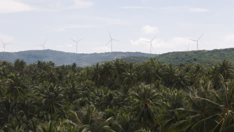 tropical-feels-and-sustainable-energy--development