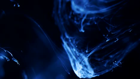 shot of ink moves. cosmic abstraction of a light blue particle ink. macro