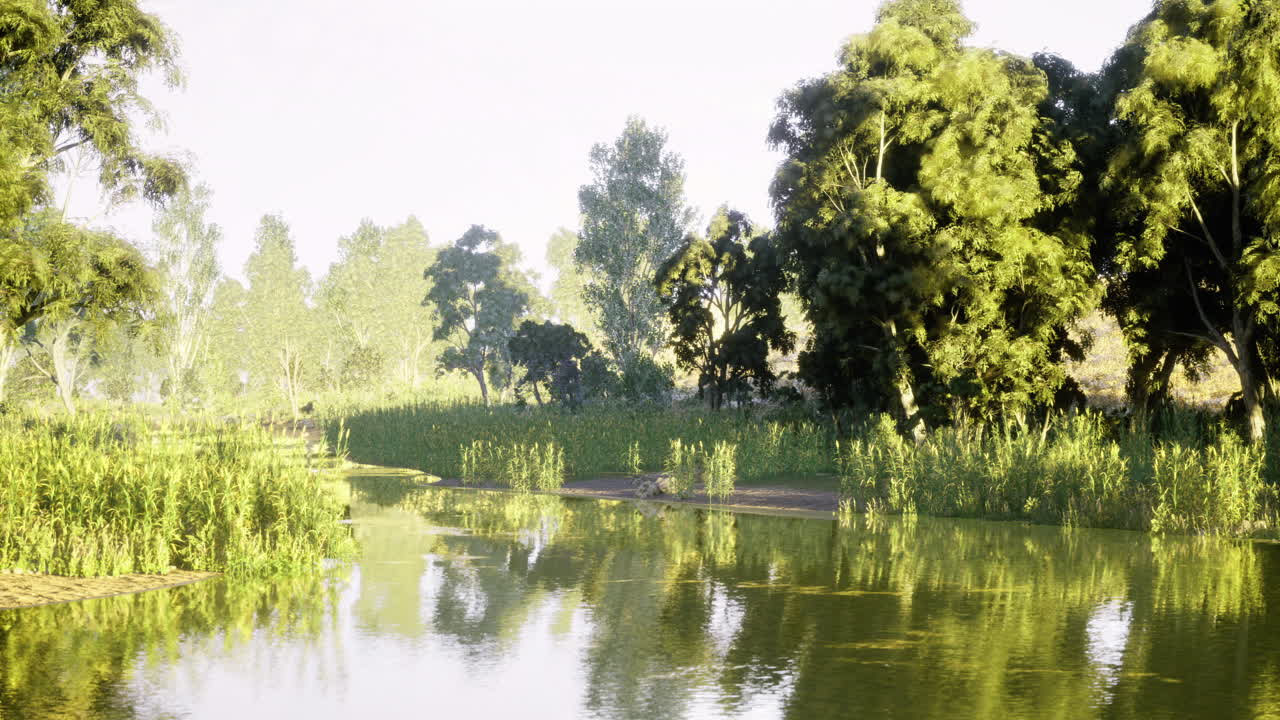 Lush green landscape with serene river surrounded by tall trees during daylight