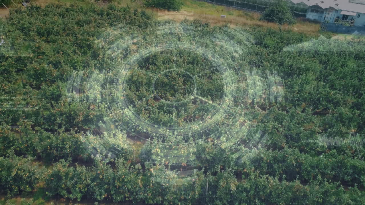 Orchard rows displaying digital scanning overlay in 3D render, showing small farm building