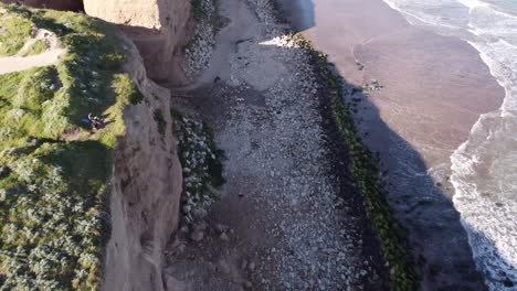 aerial shot showing bird flying over cliffs and beach during sunny day - atlantic ocean,mar del plata