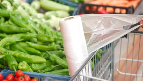 woman shopping for produce in a grocery store