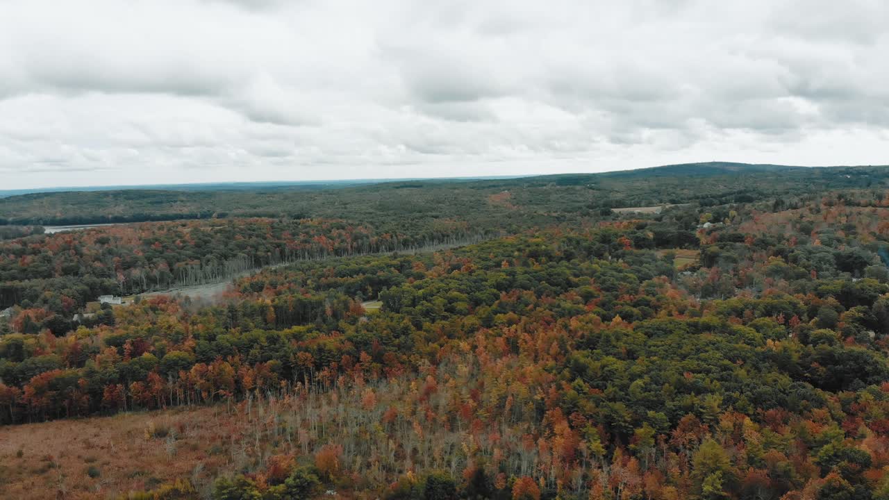 disparo de dron descendente de un bosque en massachusetts con un cielo nublado por encima - 4k