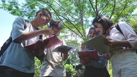 students collaborating on a field trip in nature
