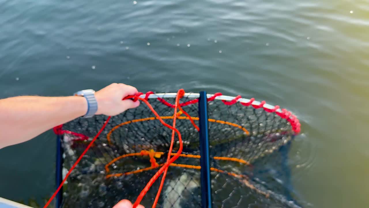 물 에서 크래브 함정 을 끌고 나가는 것