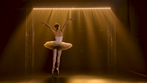 graceful ballerina dancing white swan part dancin 2023 11 27 05 29 18 utc.mov | action, amazing, art, artistic