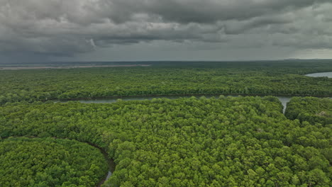 Pedregal-Panama-Aerial-V4-Low-Height-Flyover-Und-Rund-Um-Den-Platanal-Fluss,-Der-An-Einem-Stürmischen-Tag-Einen-Wunderschönen,-üppig-Grünen-Mangrovenwald-Mit-Dichter-Vegetation-Einfängt-–-Aufgenommen-Mit-Mavic-3-Cine-–-April-2022