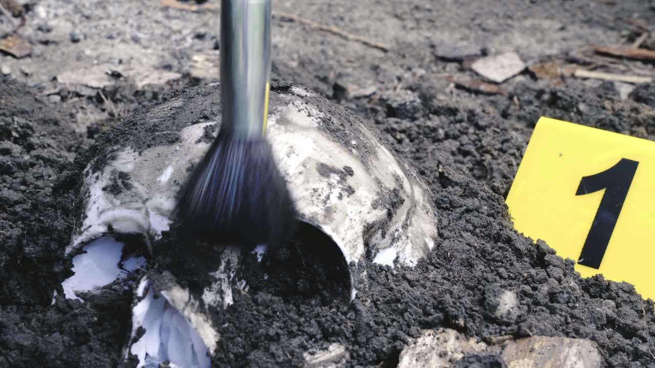 Forensic archeologist cleans human skull evidence at police crime scene
