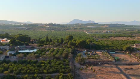 Granja-De-Cítricos-Verdes-Mediterráneos-Cerca-De-Algorfa,-España-Durante-La-Puesta-De-Sol