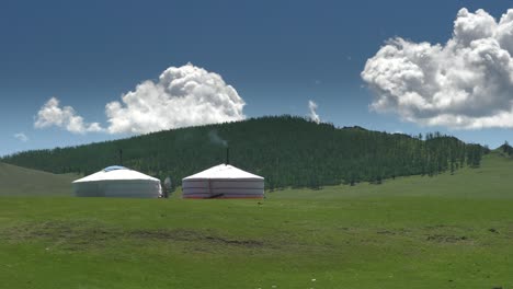 mongolian tents in the forest and green meadows