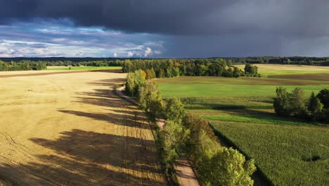 Leere-Geschwungene-Unbefestigte-Straße-Mit-Birkengasse-In-Goldener-Stunde-Mit-Sturmwolken,-Luftwagen-Herein