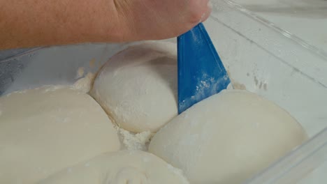 taking out prepared pizza dough sample from storage tray