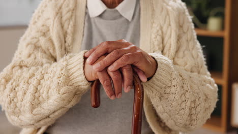elderly person's hands on a walking stick