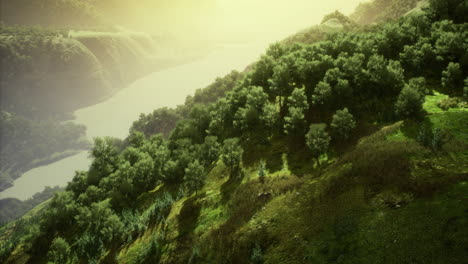 scenic view of lush greenery and river under soft golden sunlight