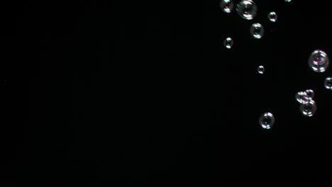 soup bubbles isolated on black background