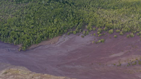 Ejemplo-De-Selva-Tropical-Valdiviana-Dentro-De-Un-Parque-Nacional-De-La-Patagonia-Chilena-Y-Aluvión-Volcánico