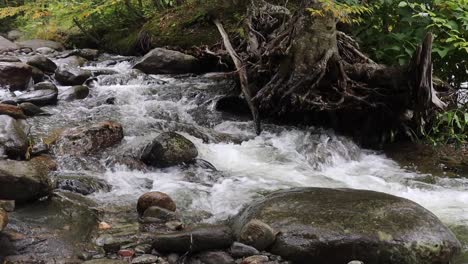 Pequeño-Río-Que-Fluye-En-Vermont