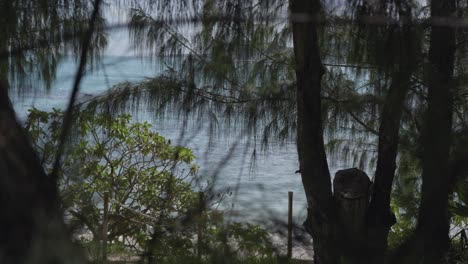 una toma cinematográfica de una playa tranquila en una isla tropical
