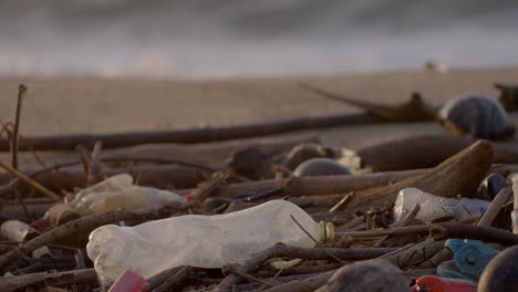 a bottle and more trash contaminate the beach