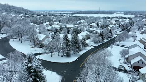 Estados-Unidos-Casas-Cubiertas-De-Nieve