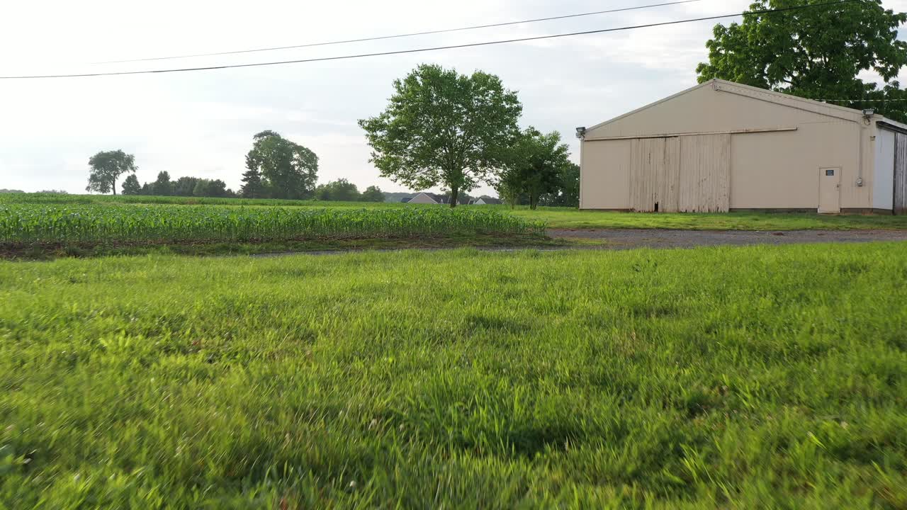 디스크 골프장 11번홀