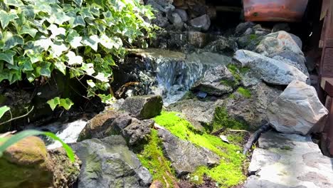 a babbling brook flowing along a rocky garden in slow motion