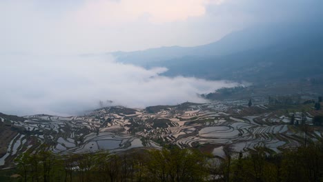 la terraza de arroz de yuanyang es un lapso de tiempo al amanecer, yunnan, china