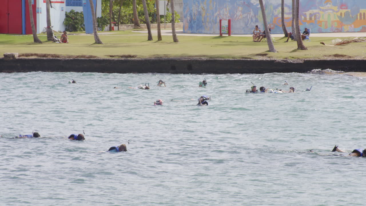 푸에르토리코 산 후안 푼타 에스캄브론에서 휴가 동안 스노클링 활동을 즐기는 사람들