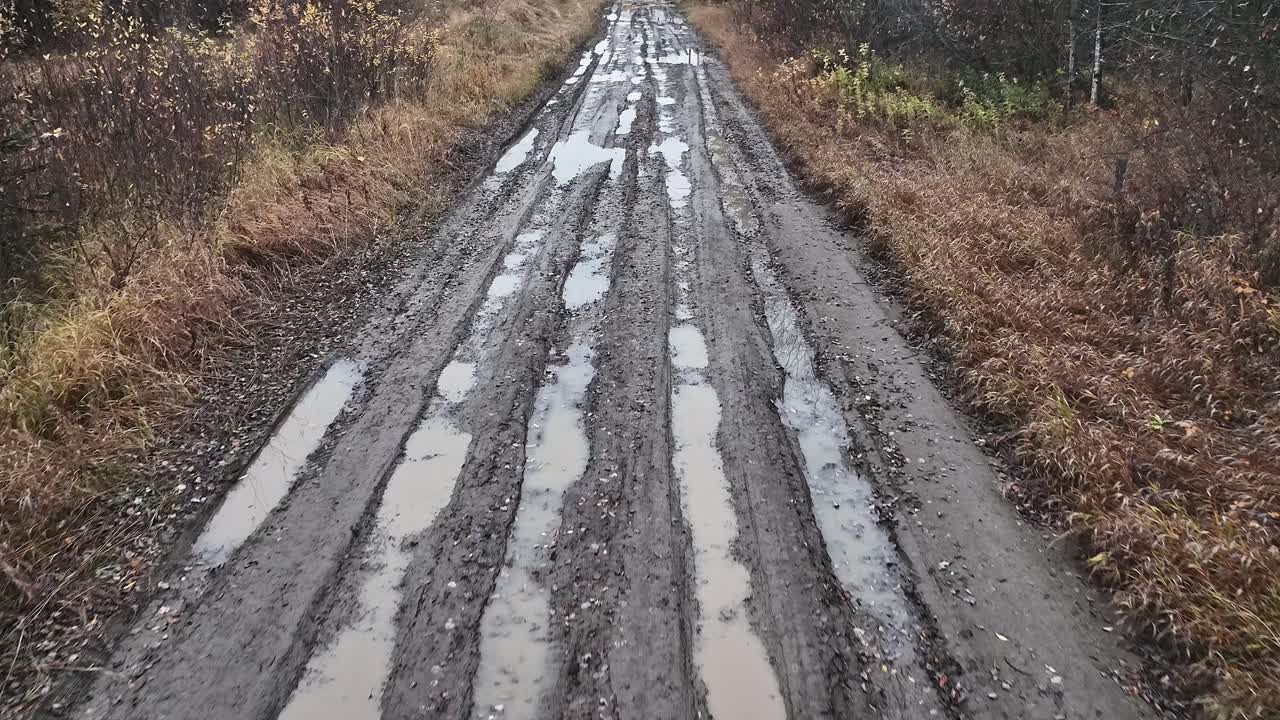 Muddy Road in the Autumn Woods