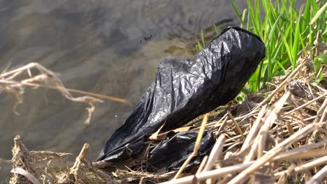 bolsa de polietileno atascada en la orilla del río yangjaecheon stream, seúl, corea del sur - ángulo alto, tiro estático